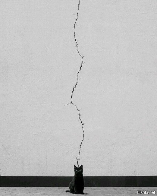 и треснул мир напополам,