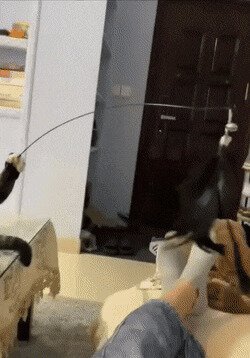 -заведу себе человека, играть с ним буду