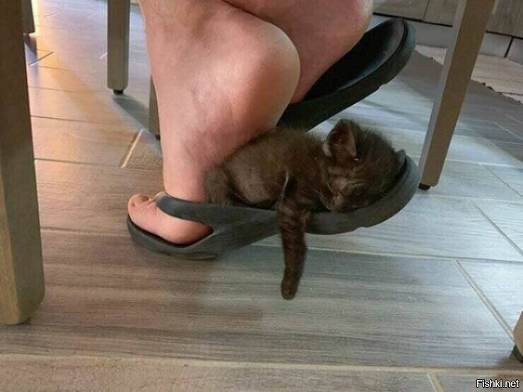 короче, всем бай