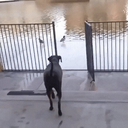 цитаты великих