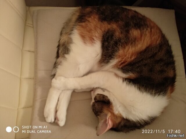 Спортсменка :)