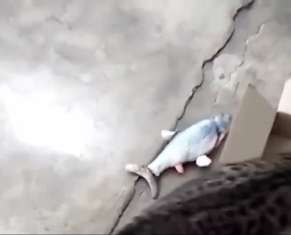 Ломай стандарты