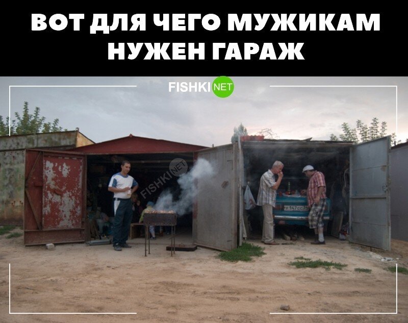 Смешные и познавательные картинки