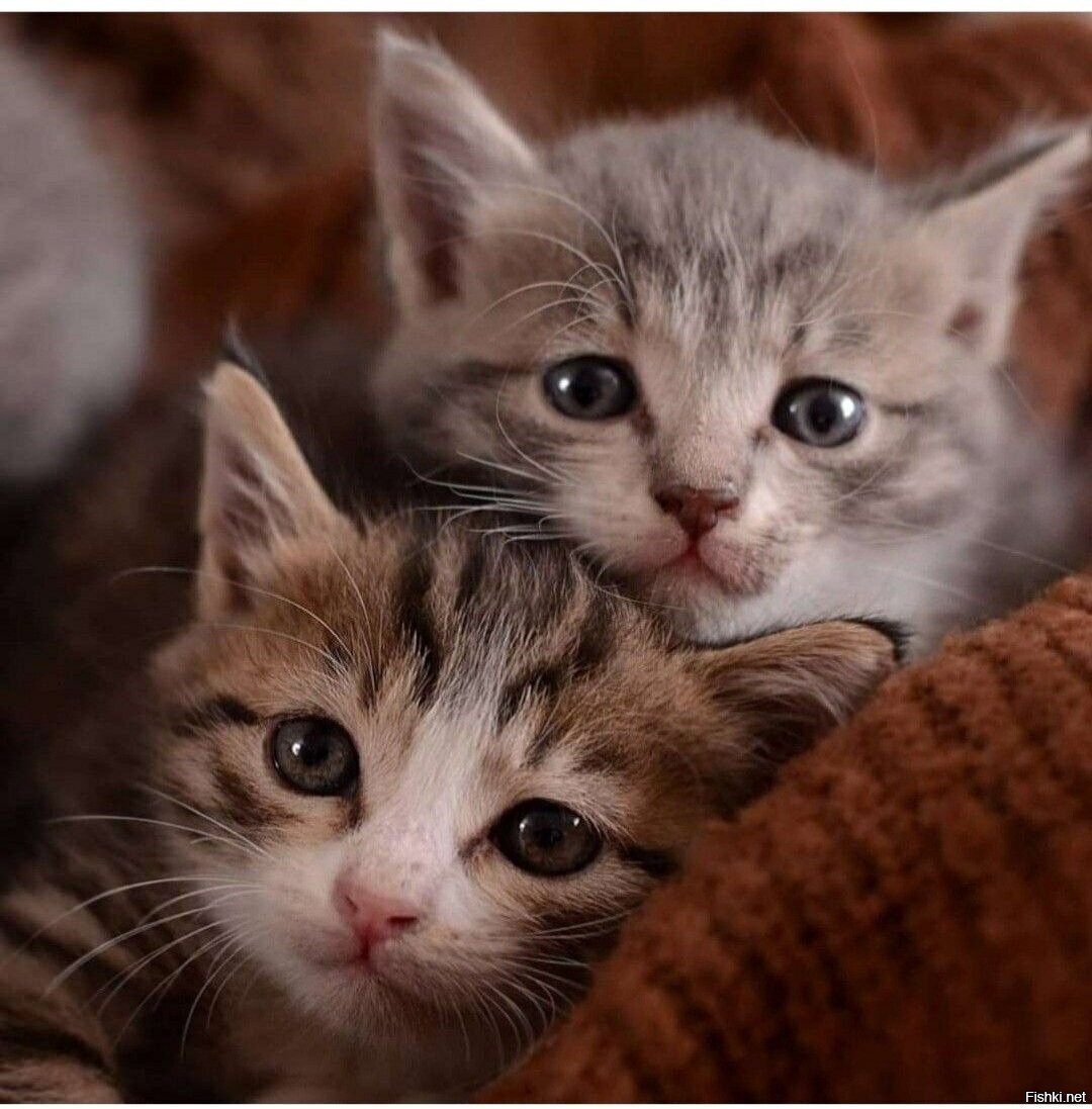 Доброе утро