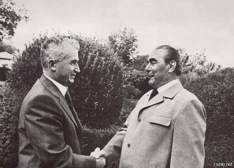 Дыхнул в ладонь украдкой Брежнев