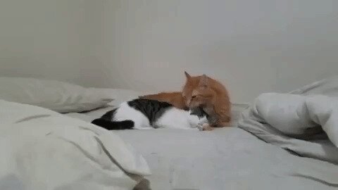 Всем доброго