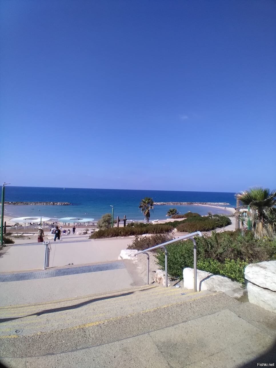 Израиль вчера