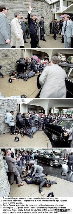 Было выпущено 6 пуль