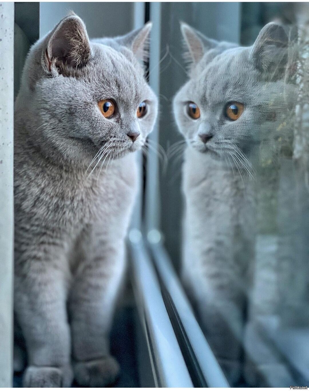 Доброе утро