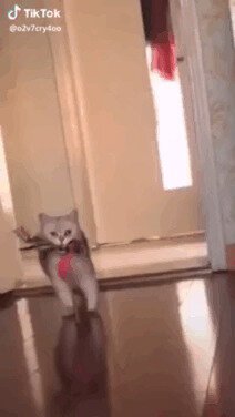 Когда раньше вернулся из командировки