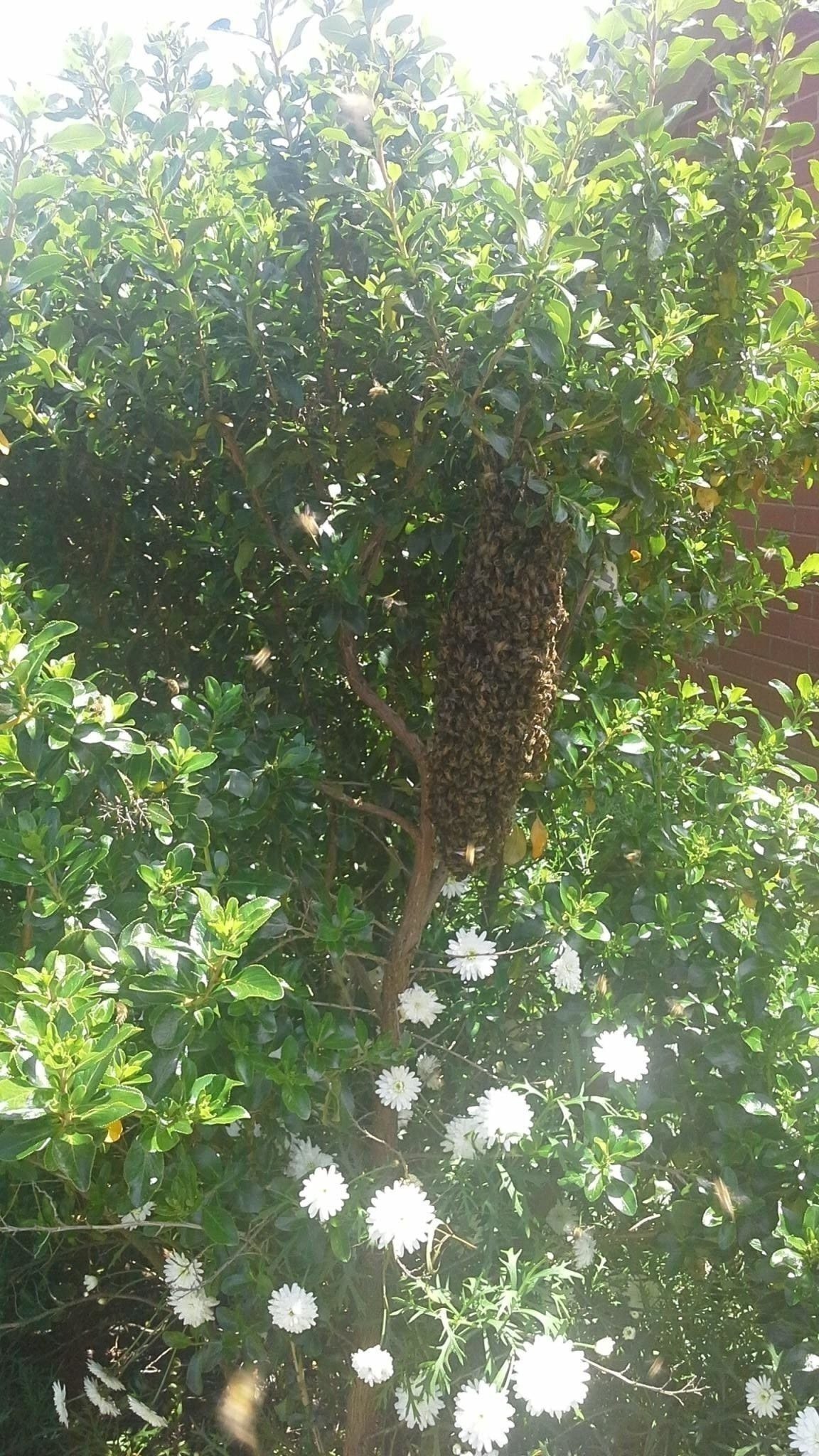 Мельбурн на протяжении многих лет занимает первые места по удобству проживания
