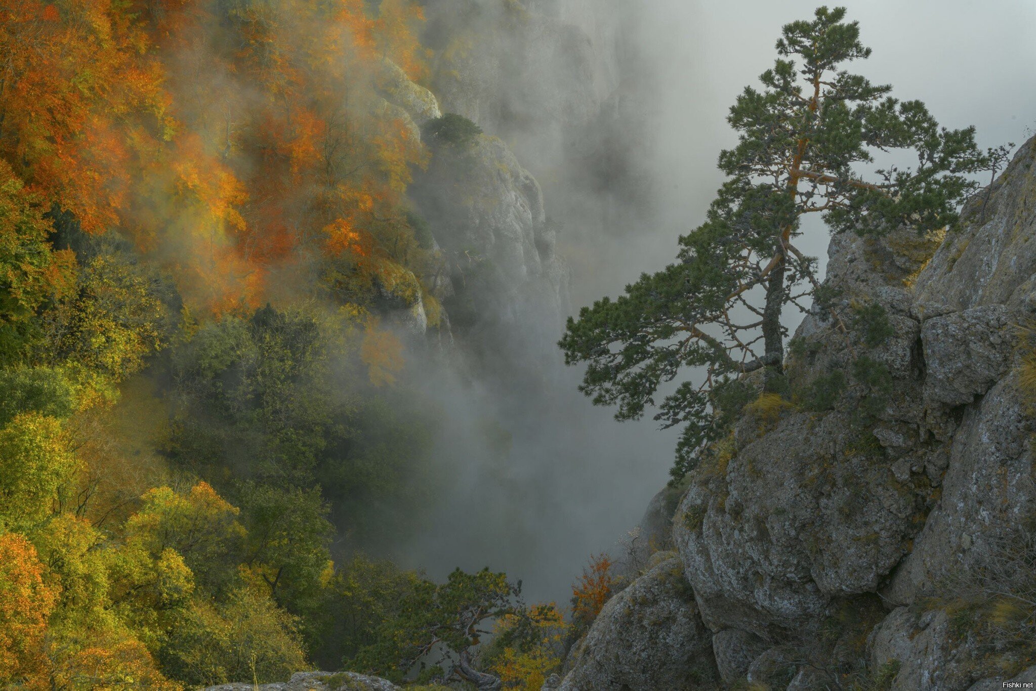 Демерджи, Крым