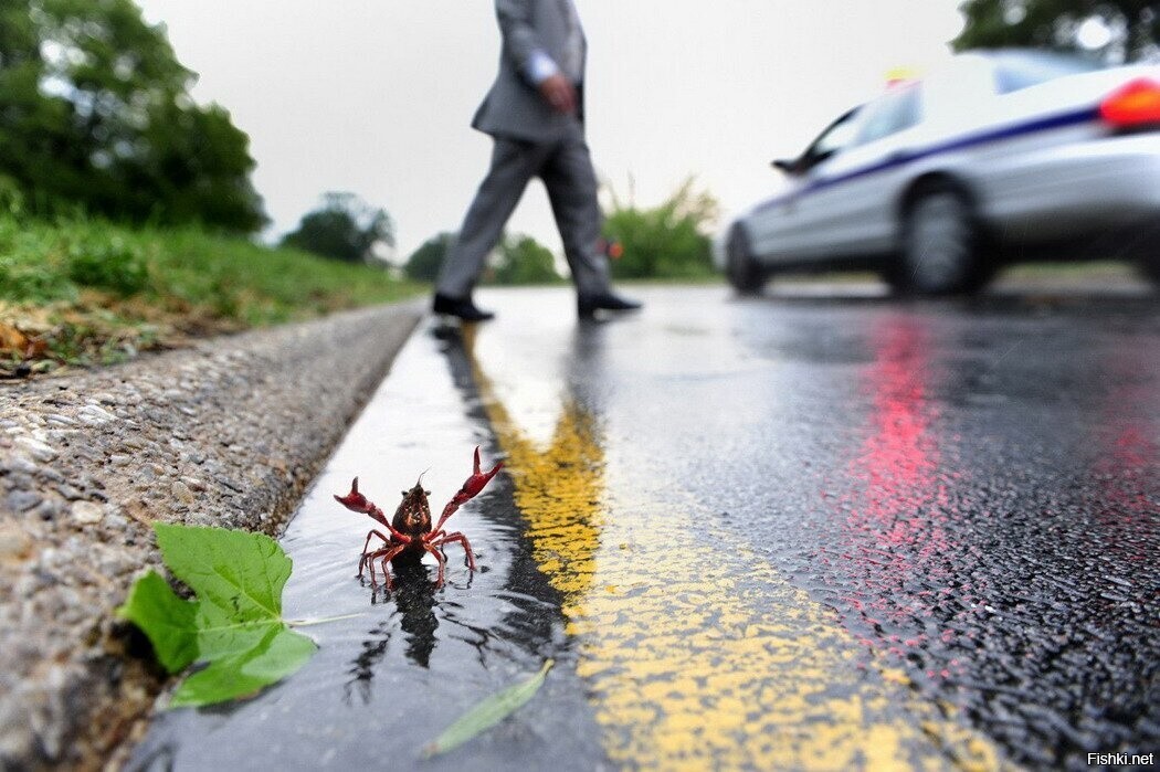 Всех перережу , всем кровь пущу