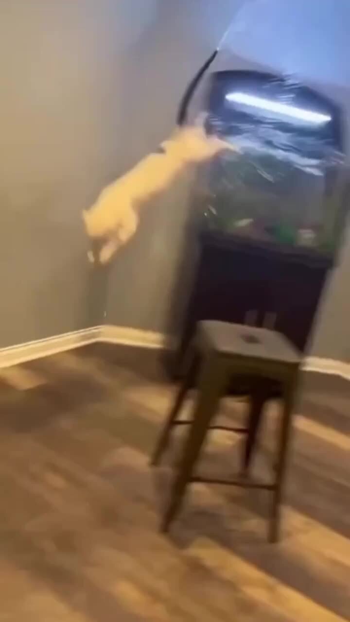 Миссия невыполнима