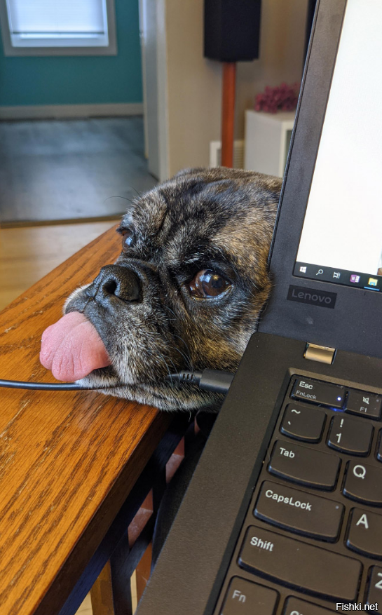 Хватит на Фишках сидеть