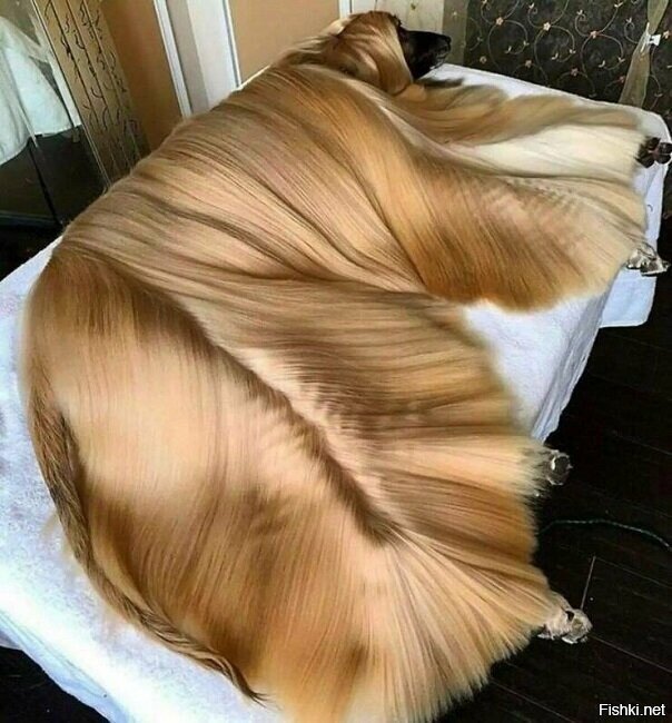 потому что ты этого достойна