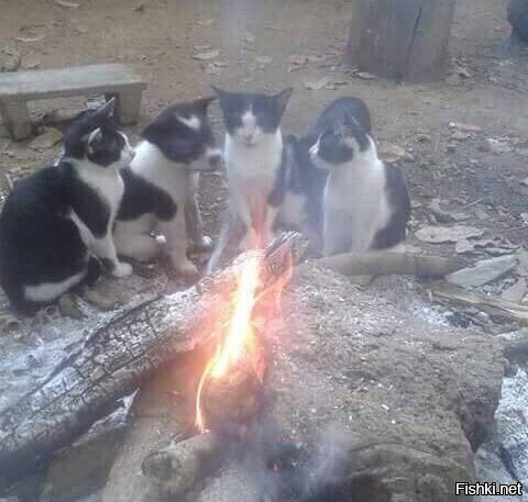 Все мы братья