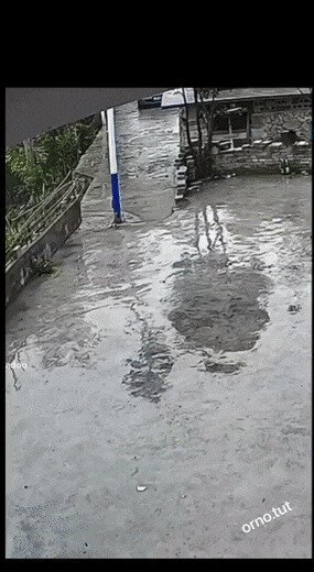 не переобулся