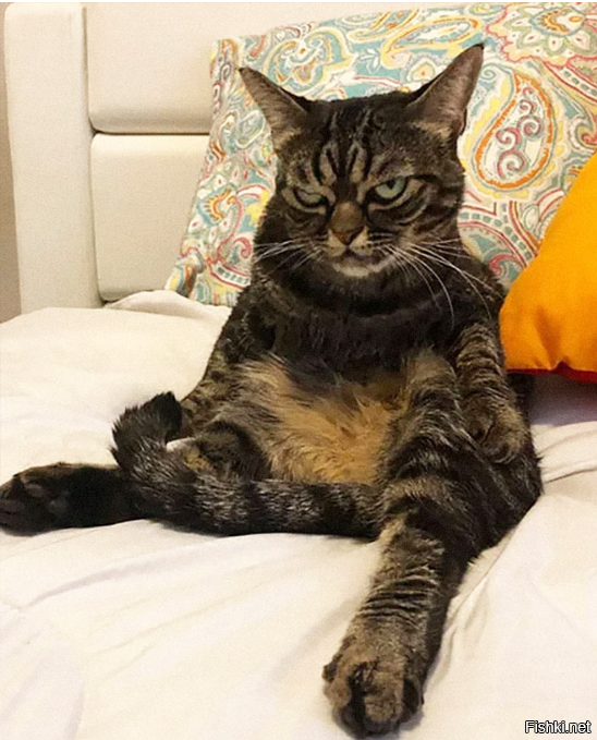 Вы шпионить, или по делу