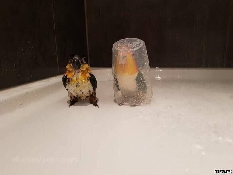 Когда выходите с другом изучать поверхность другой планеты, но Саня не надева...