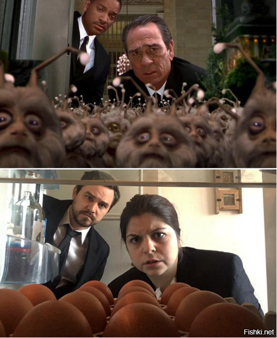 Дежавю каждый раз, когда открываешь холодильник