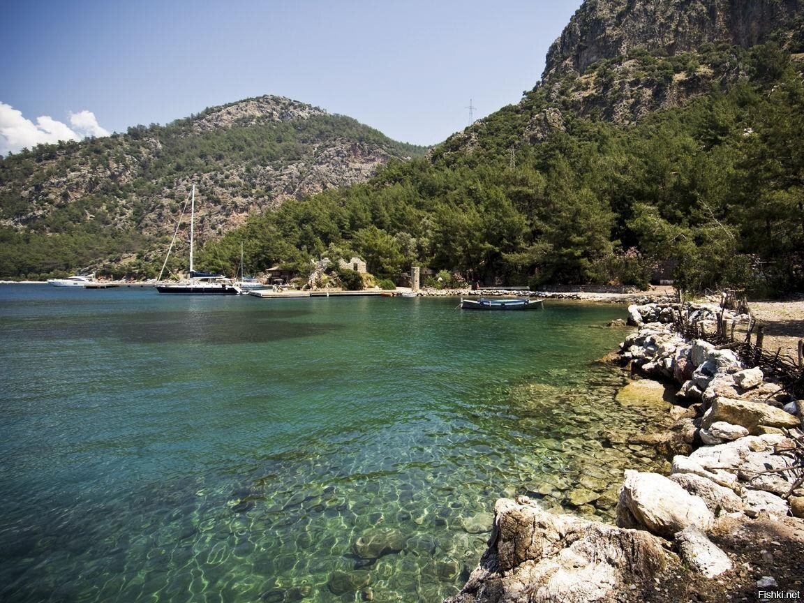 Мой любимый Ekincik