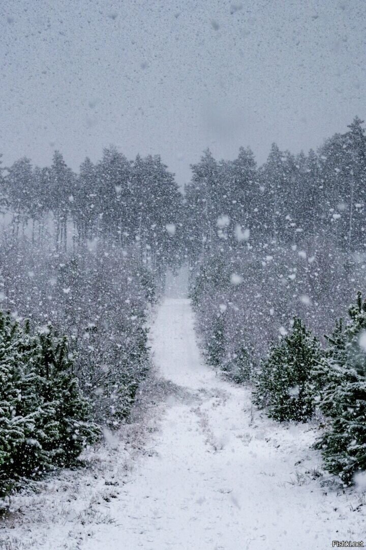 Доброе утро)