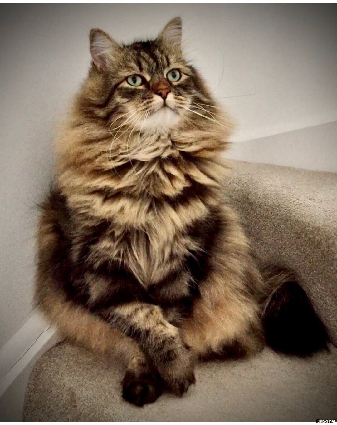 Доброе утро