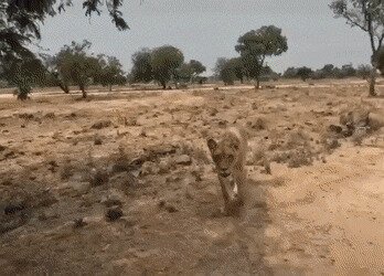 -позвольте вашу ручку