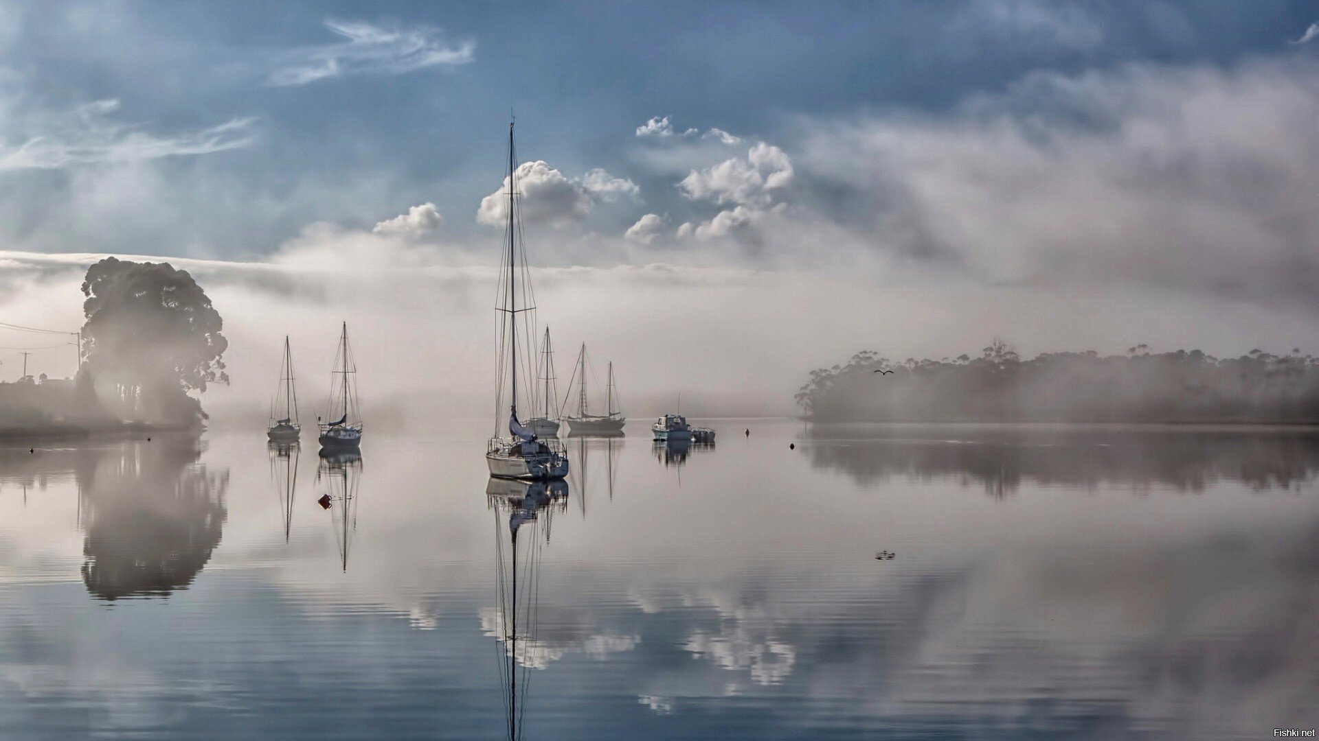 говорят, река в Австралии (Тасмания)