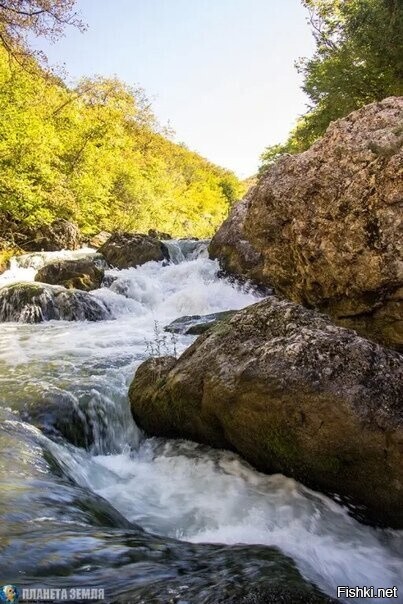 Горный ручей, Крым