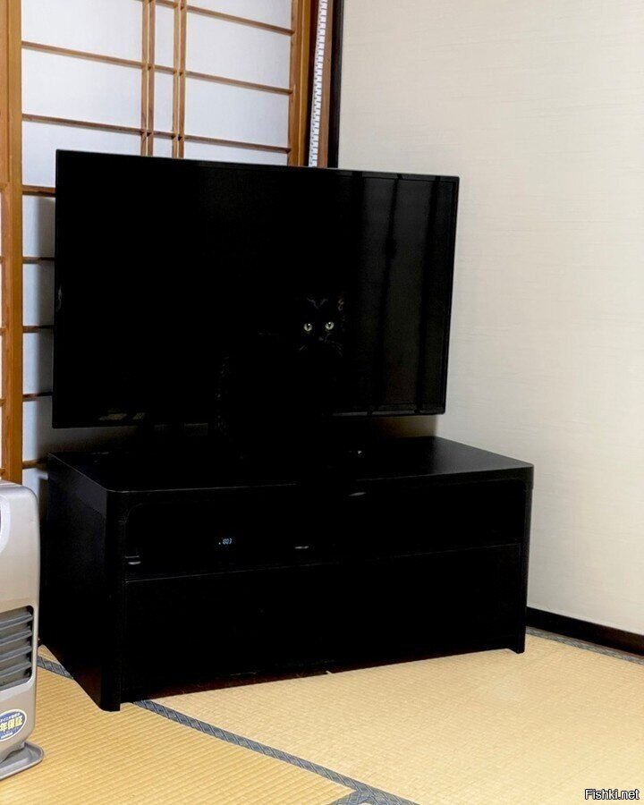 Когда долго смотришь в бездну, бездна начинает смотреть в тебя