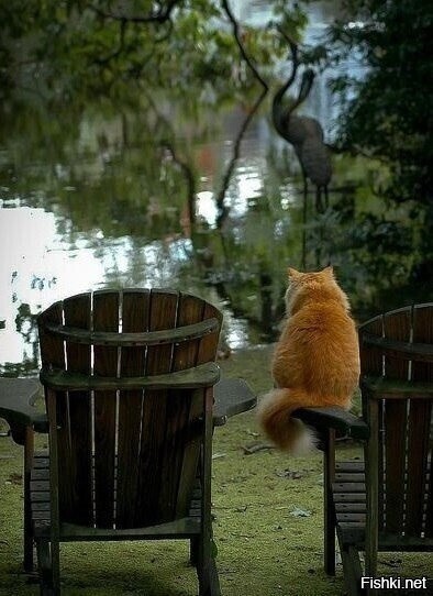 - И кто тут охотник