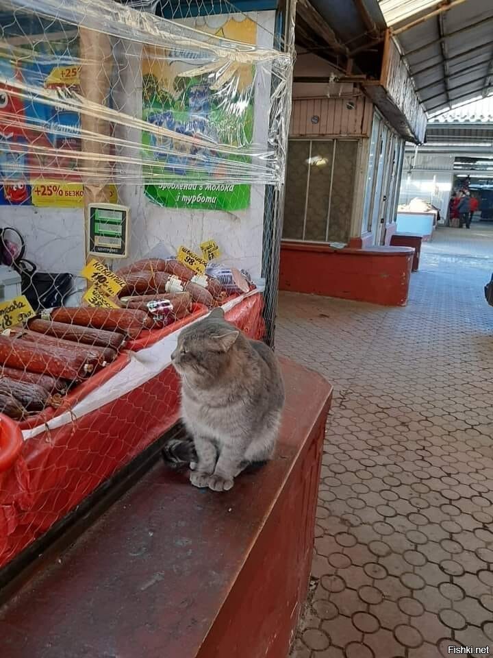 в ожидании)