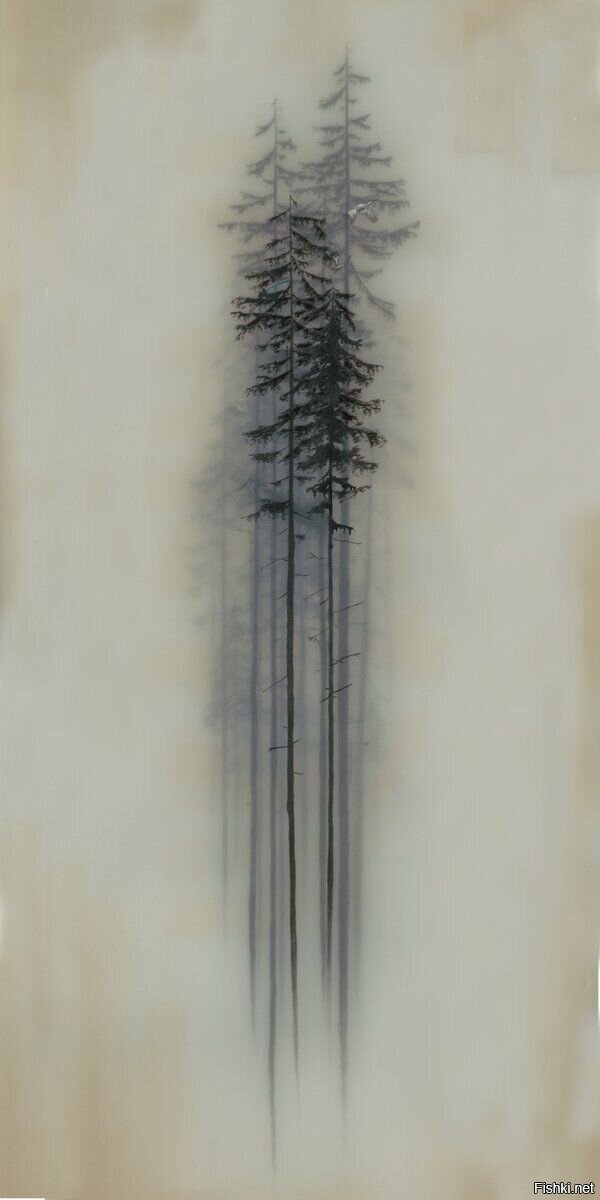 Деревья в тумане