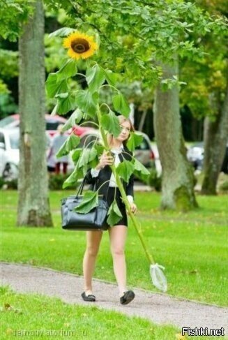 Один цветок-это эффектно и скромно