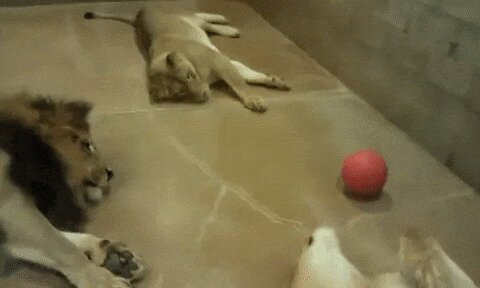 - А весело как