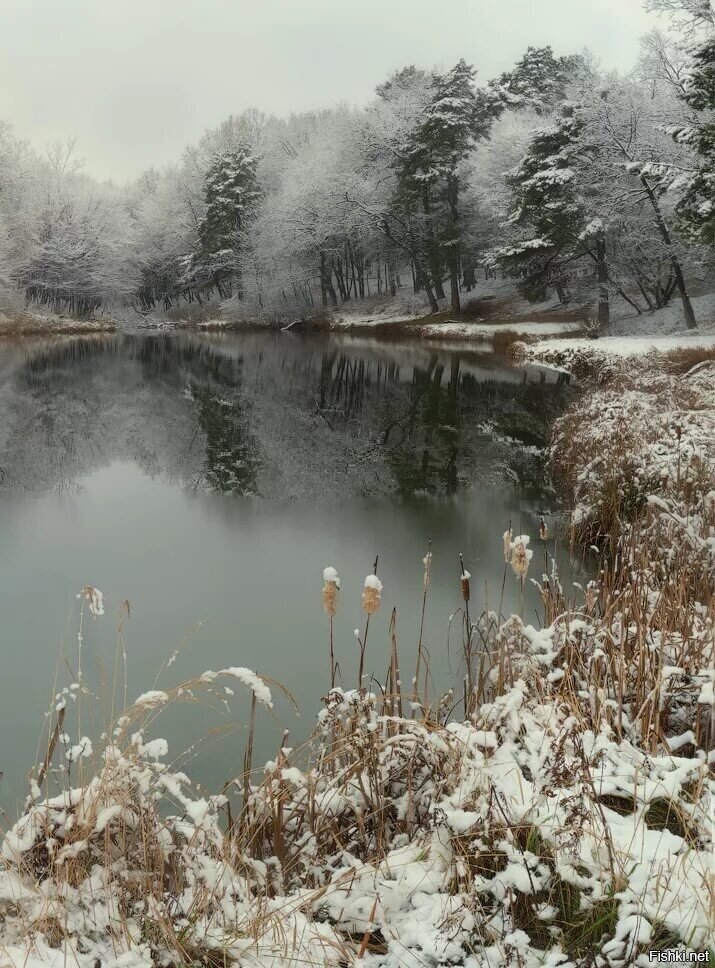 Доброе утро)