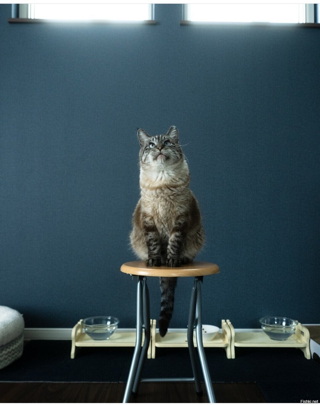 Доброе утро