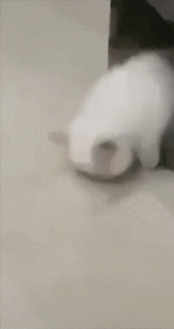 утро добрым не бывает