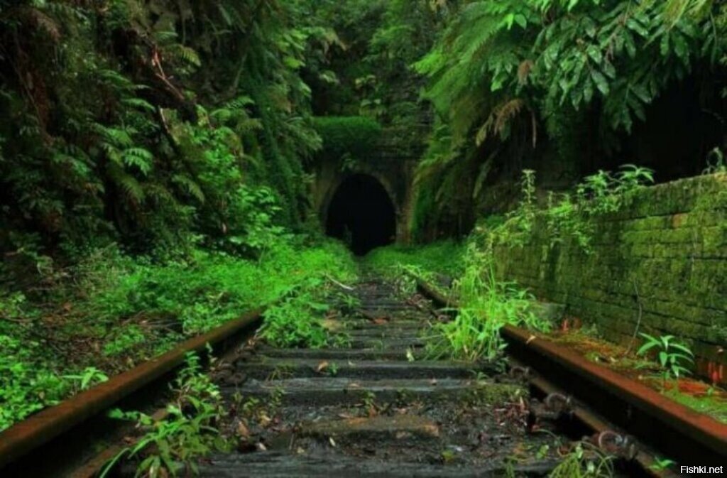 Пещера ждет свого принца на белом паровозе