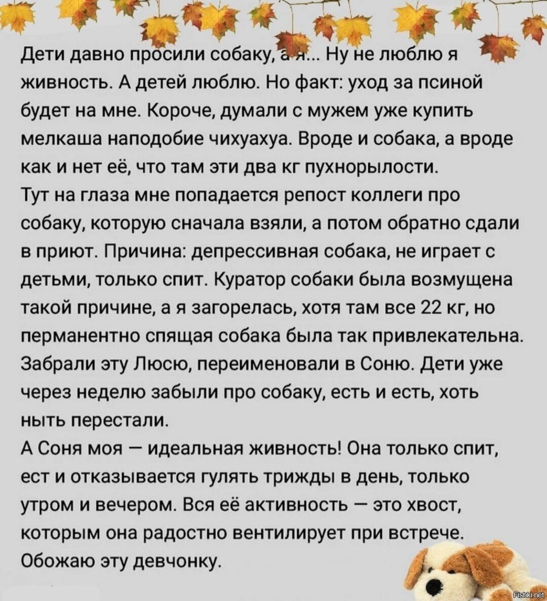 Солянка