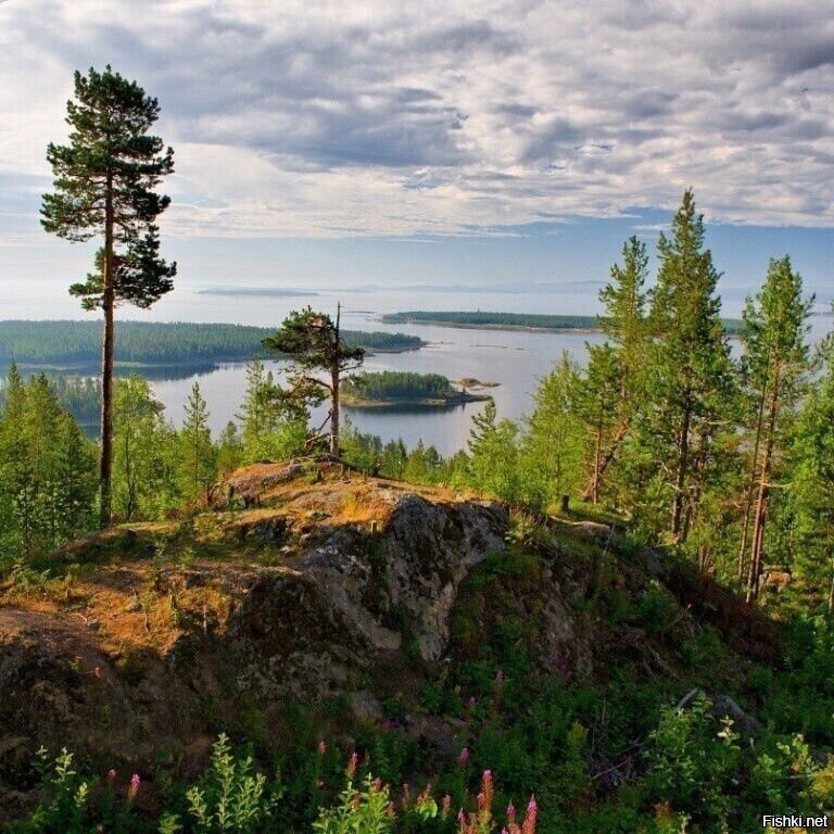 Кандалакшский залив, Белое море