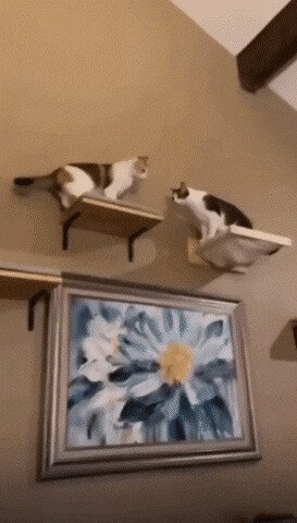 два дебила - это сила