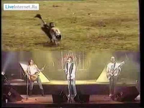 Печальная новость