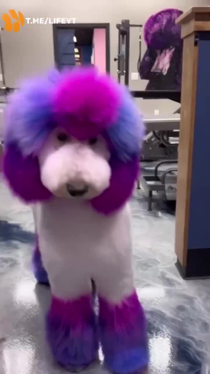 Прошлась по подиуму