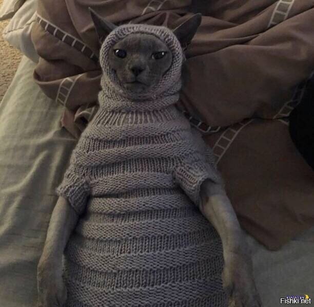 в гостях у бабушки