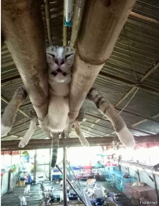 Сегодняшний день на работе прошёл очень продуктивно