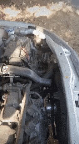 какая нелепая смерть