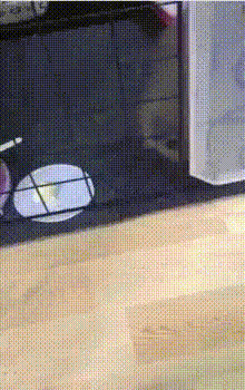 - Я же говорил, это шерсть широкая